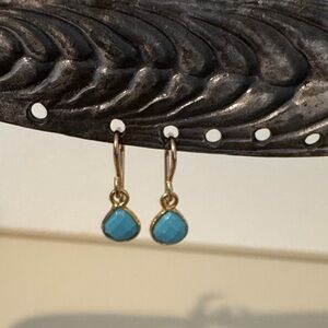 Elegant Gold filled and Turquoise Drop Earrings